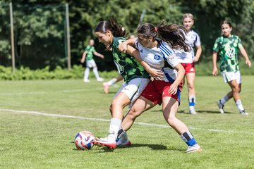 Bild 236 - wBJ Hamburger SV - VfL Wolfsburg : Ergebnis: 5:1